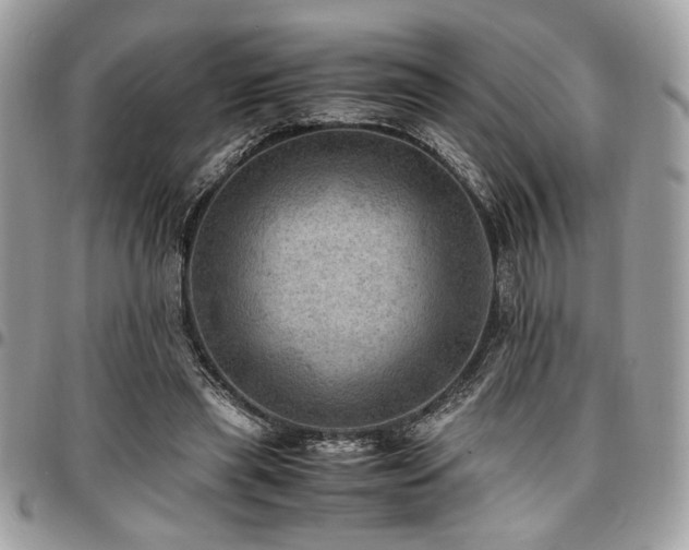 X0000096940445200802081210