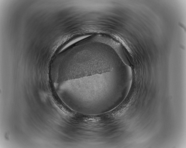 X0000096940447200802081210