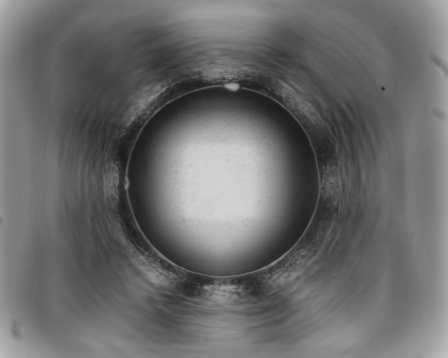X0000096940448200802081210