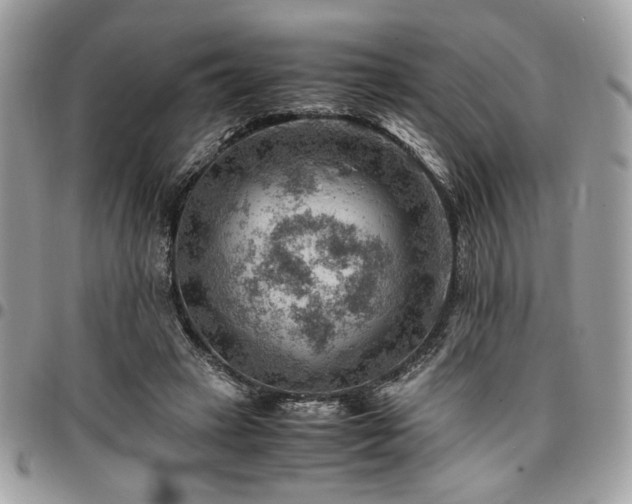 X0000096940449200802081210
