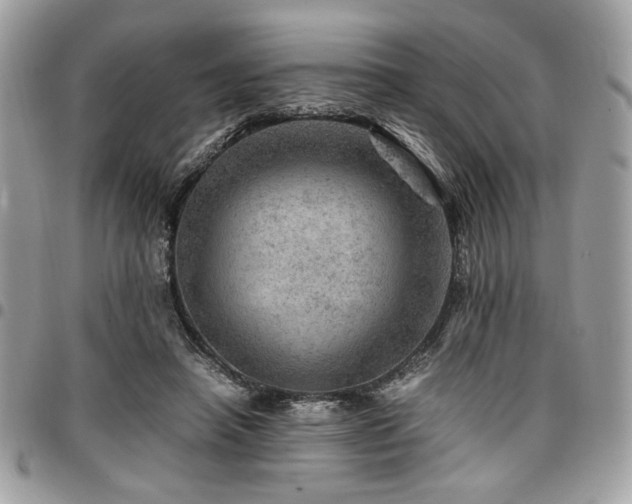 X0000096940450200802081210