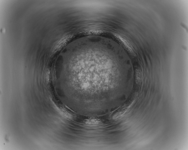 X0000096940451200802081210