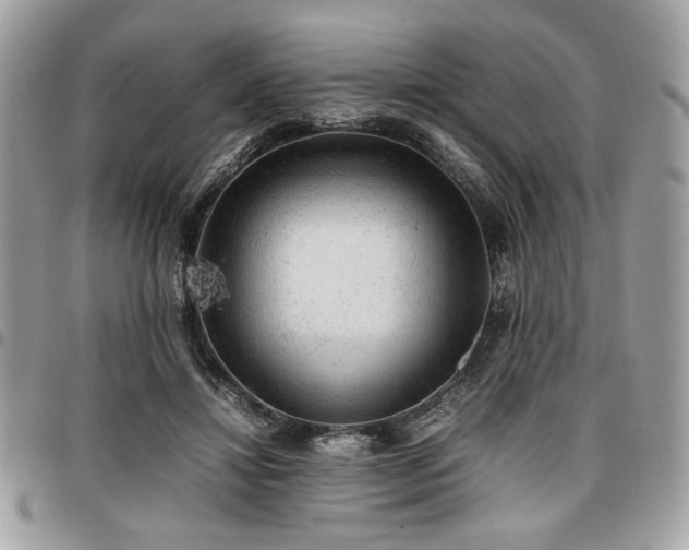 X0000096940452200802081210