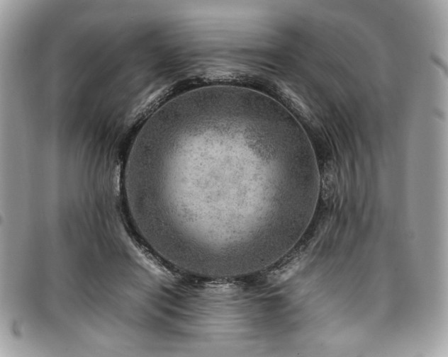 X0000096940454200802081210