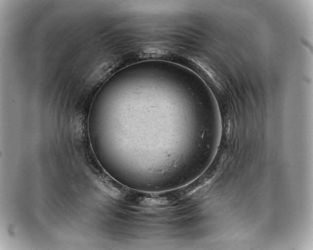 X0000096940455200802081210