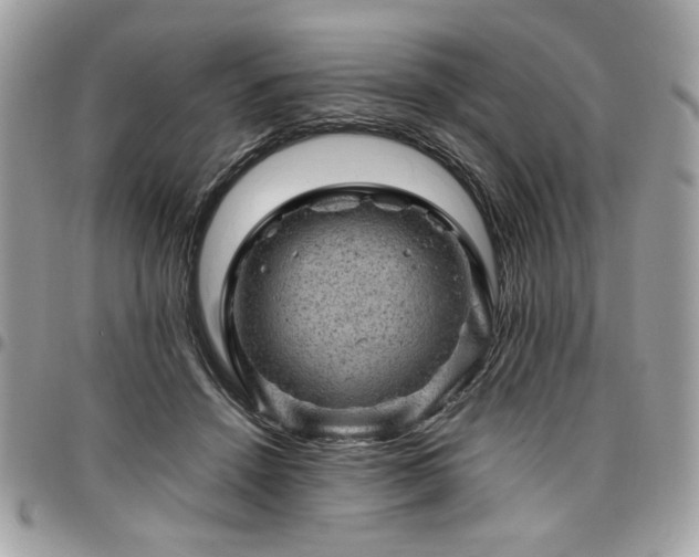 X0000096940456200802081210