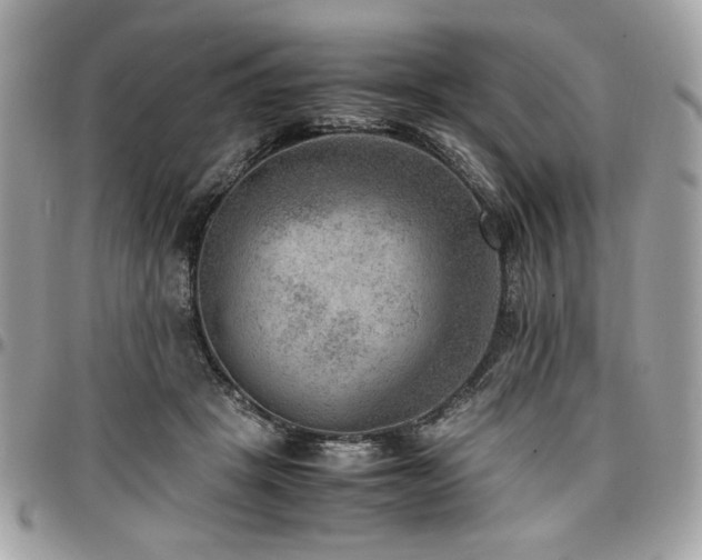 X0000096940457200802081210