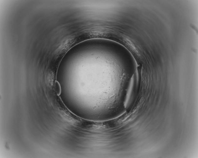 X0000096940458200802081210