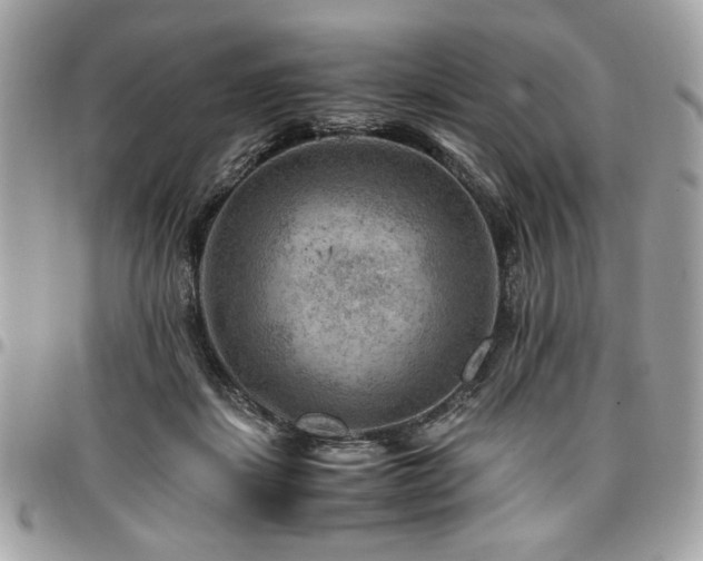 X0000096940459200802081210