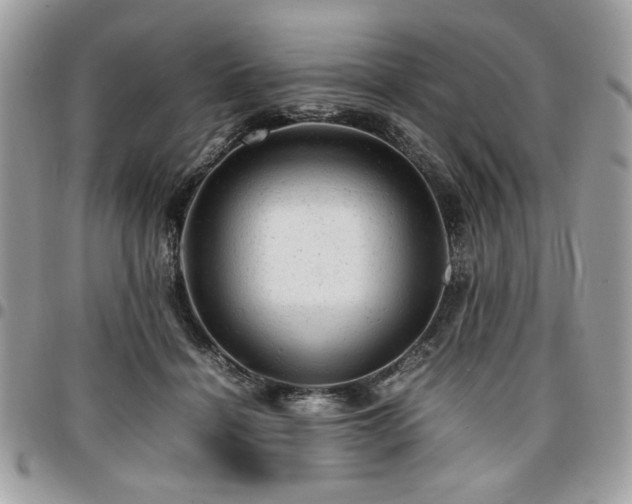 X0000096940460200802081210