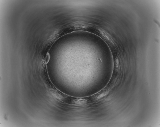 X0000096940463200802081210