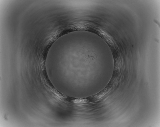 X0000096940465200802081210