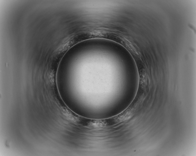 X0000096940466200802081210
