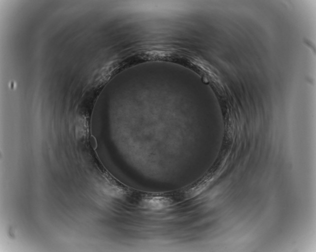 X0000096940467200802081210