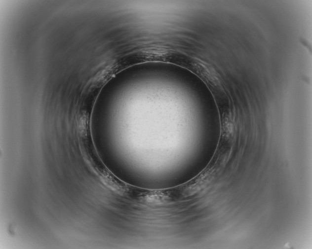 X0000096940468200802081210