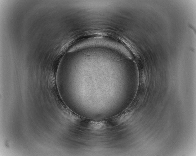 X0000096940469200802081210