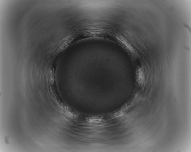 X0000096940471200802081210