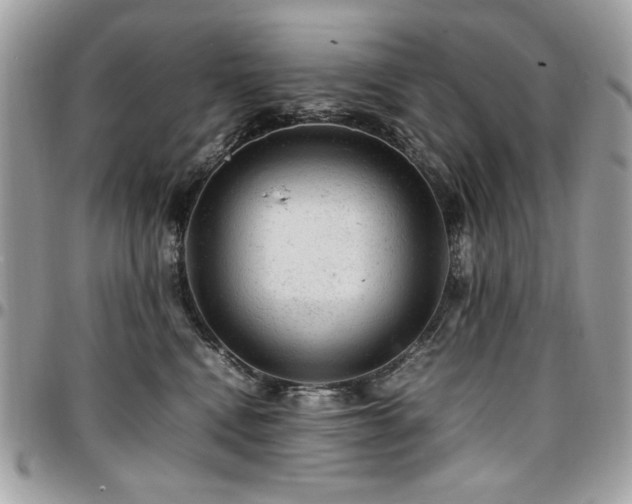 X0000096940472200802081210