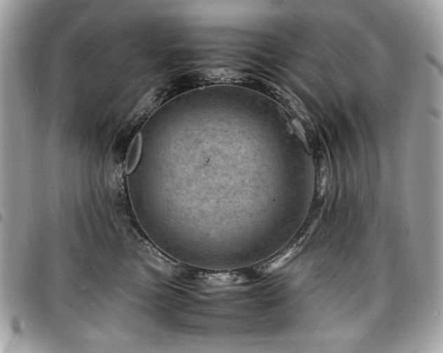 X0000096940473200802081210