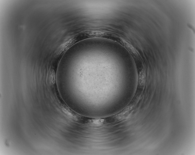 X0000096940474200802081210