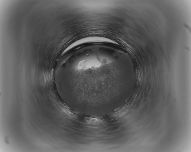 X0000096940475200802081210