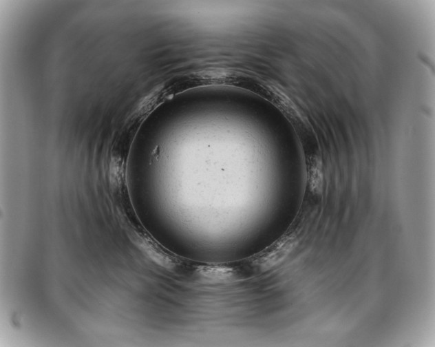 X0000096940476200802081210