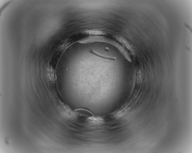 X0000096940477200802081210