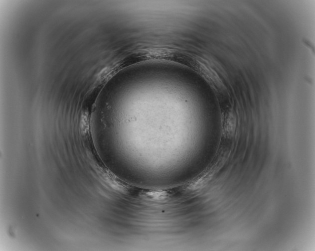 X0000096940478200802081210