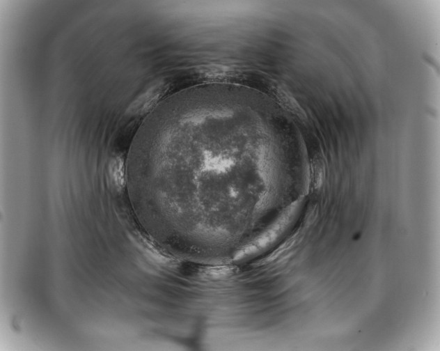 X0000096940479200802081210