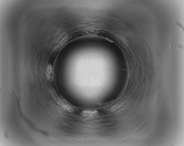 X0000096940480200802081210