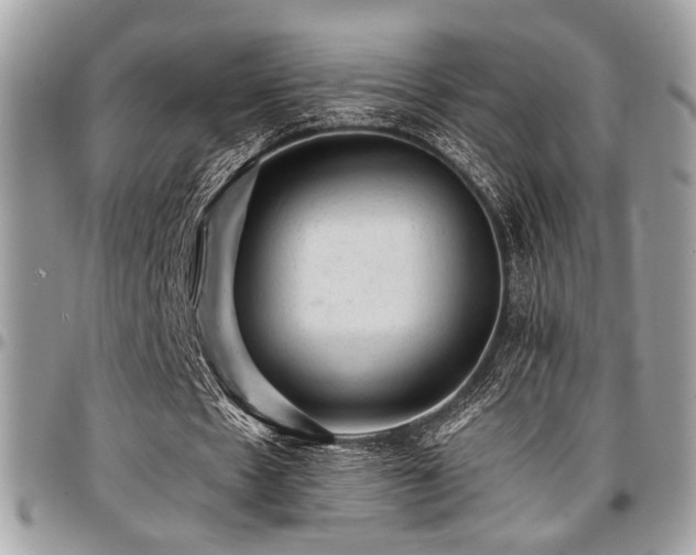 X0000096940481200802081210