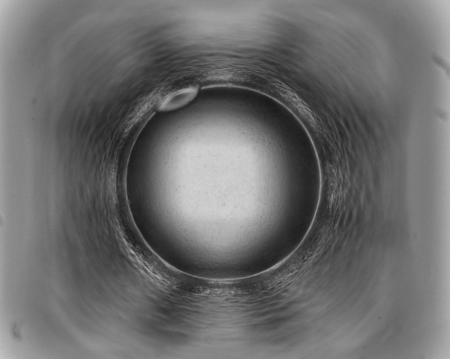 X0000096940482200802081210