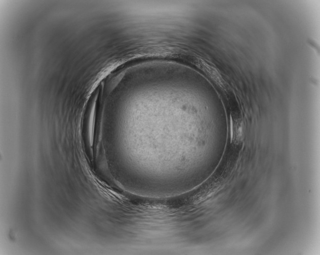 X0000096940483200802081210