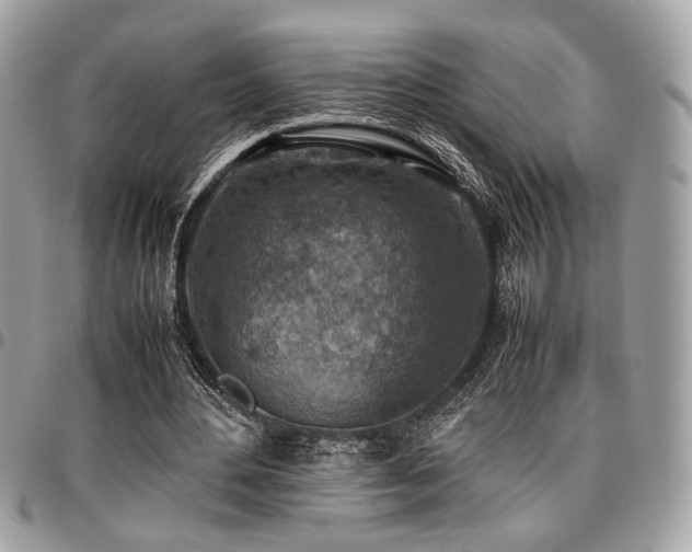 X0000096940484200802081210