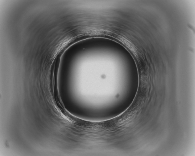 X0000096940485200802081210