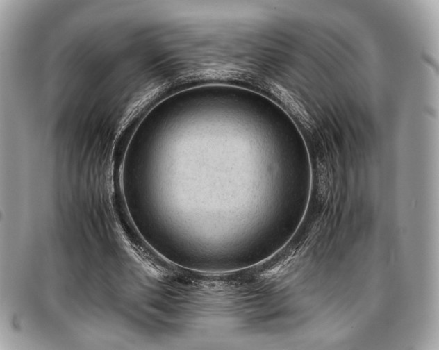 X0000096940486200802081210