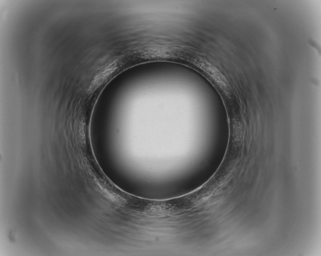 X0000096940489200802081210