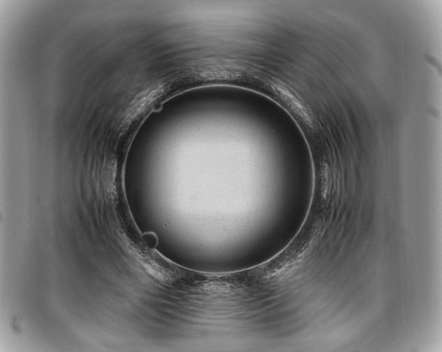 X0000096940490200802081210