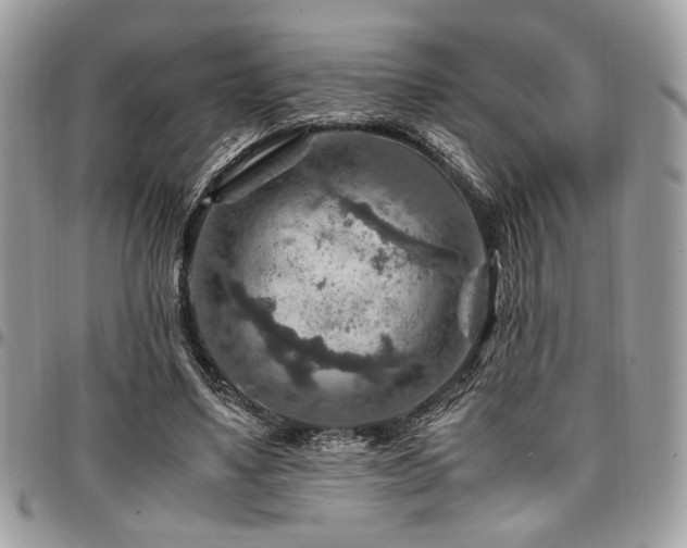 X0000096940491200802081210