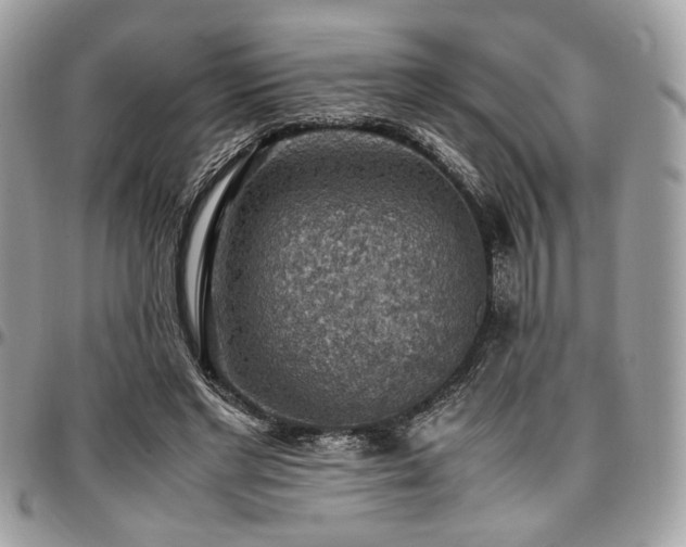X0000096940493200802081209