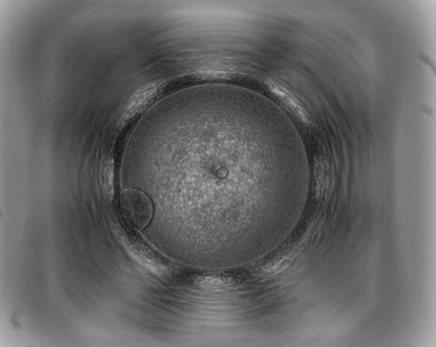 X0000096940494200802081209