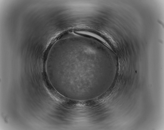 X0000096940496200802081209
