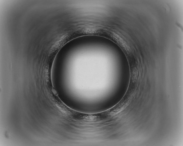 X0000096940497200802081209