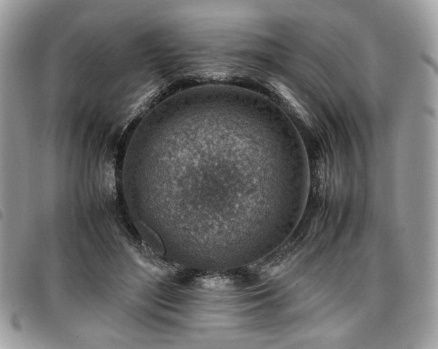 X0000096940500200802081209