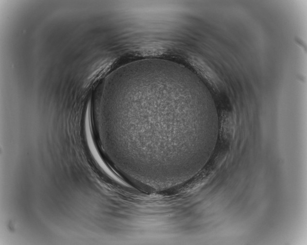 X0000096940501200802081209
