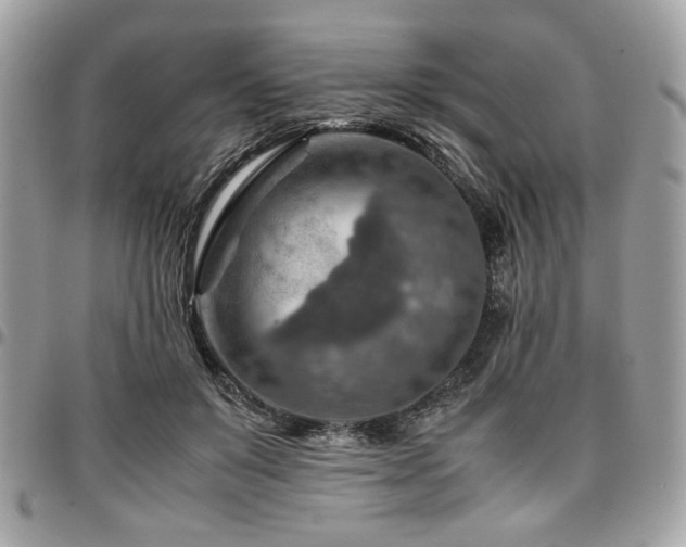 X0000096940503200802081209