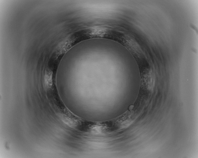 X0000096940504200802081209