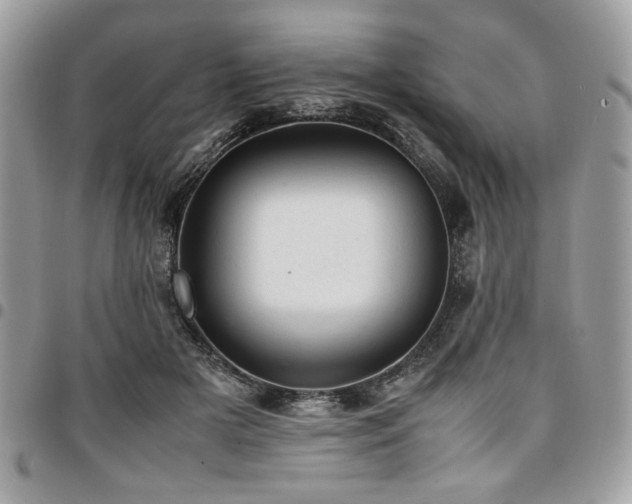 X0000096940505200802081209