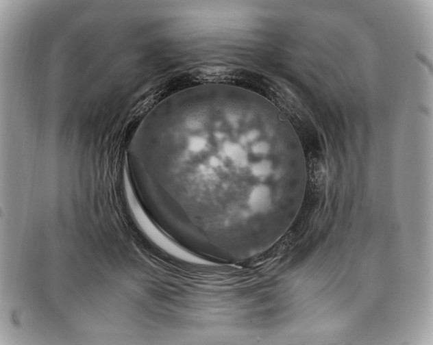 X0000096940507200802081209