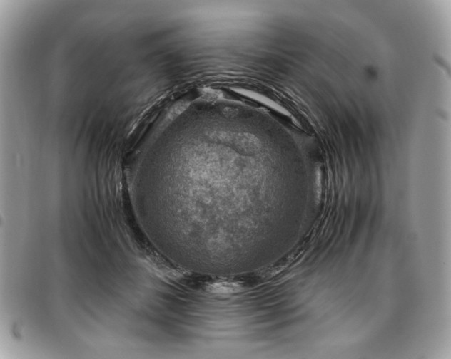 X0000096940508200802081209